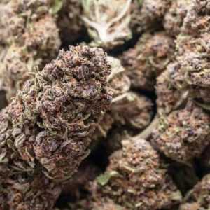 Buy Black Mamba Kush Online on the darknet