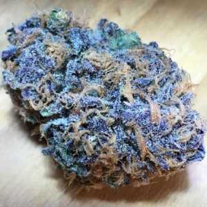 Buy Blue Dream Online on the Darknet