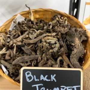 Buy Black Trumpet Mushroom online on the darknet